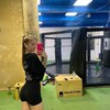  ,  , 26