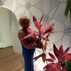  Hue,  , 49
