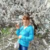  ,  , 55