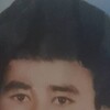   Ը