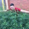   Damir
