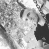   Dimon