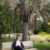   Dima