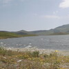   Gevorg