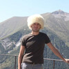  ,  gepard, 31