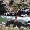   Sardor