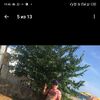  ,  , 37