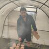  ,  Sharofiddin, 34