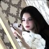  ,  , 22