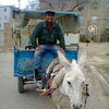   Xamid