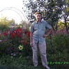   dima
