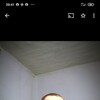  ,  Sergei, 66