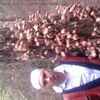   sava