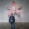   Arman